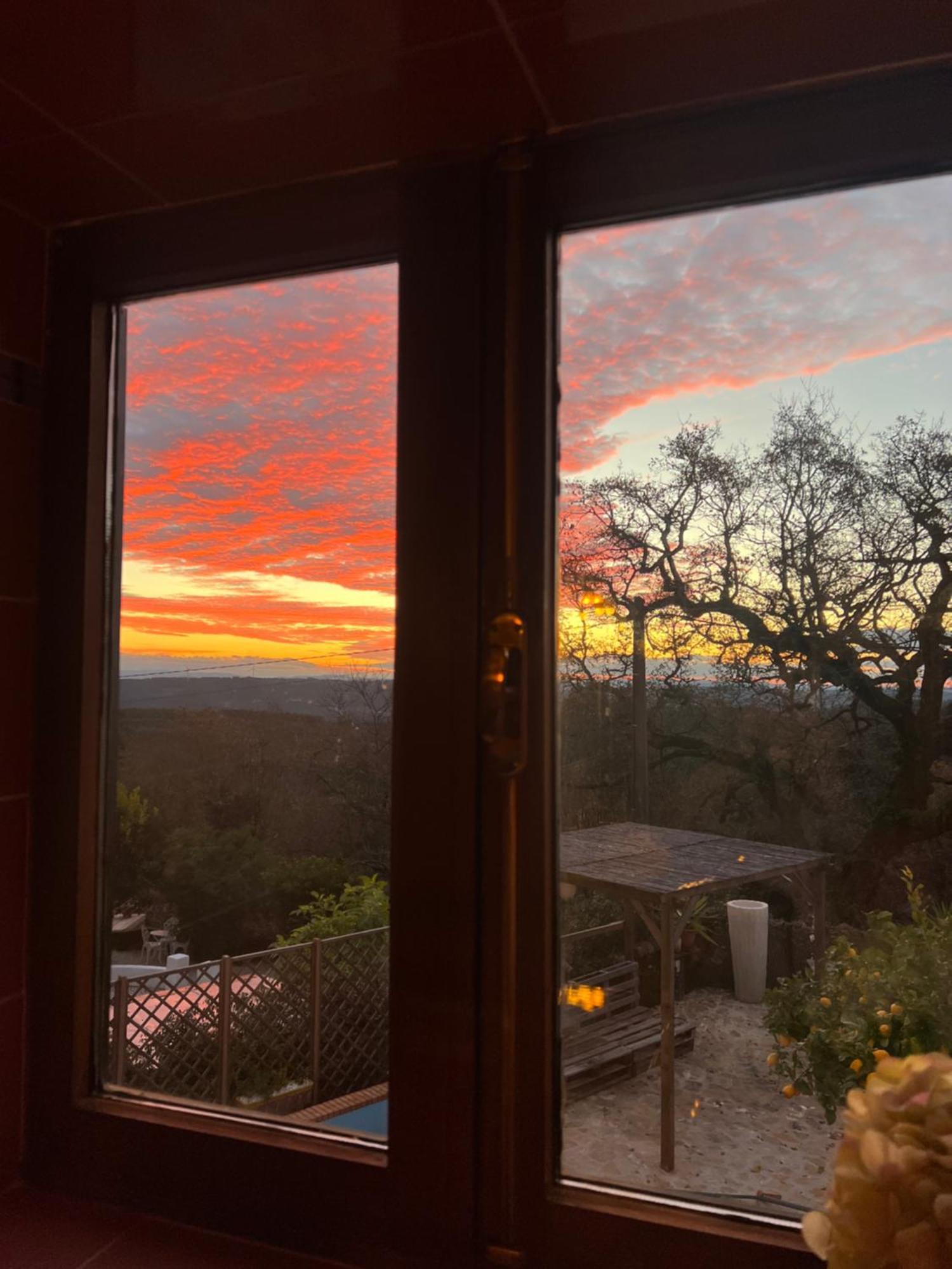 Wellbeing Guesthouse Casa E Connosco Alvaiázere エクステリア 写真