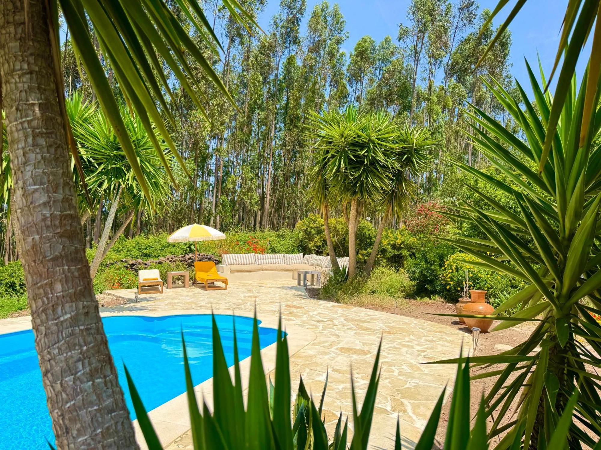Wellbeing Guesthouse Casa E Connosco Alvaiázere エクステリア 写真